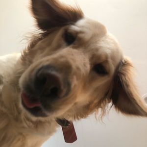 Meet your Posher, Mandy